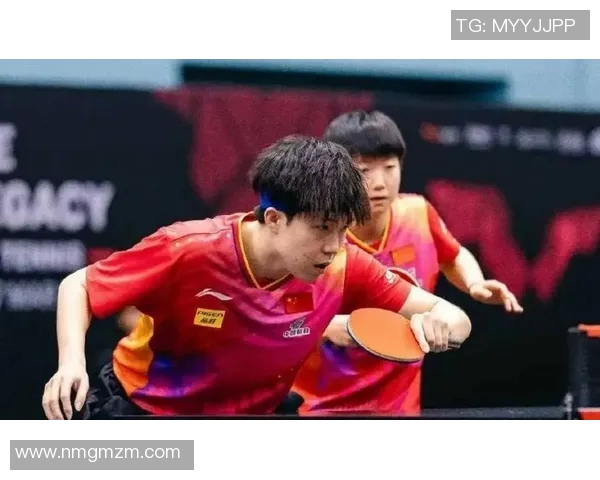 武汉乒乓球队的训练与比赛状态全景揭秘乒乓球巨献之旅