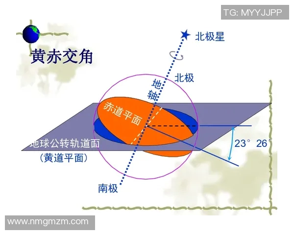 武汉极限运动队的节奏得失分析与未来发展方向探讨
