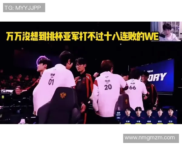 王者荣耀纪实：记录WE的逆袭之旅