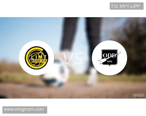 博德闪耀与奥德的精彩对决谁能在赛场上书写新的传奇