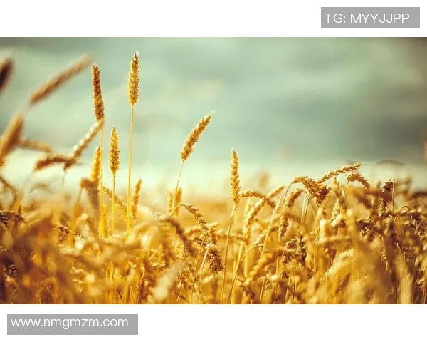 萨林杰的文学世界与心灵探索：从麦田里的守望者看青春的迷茫与追寻